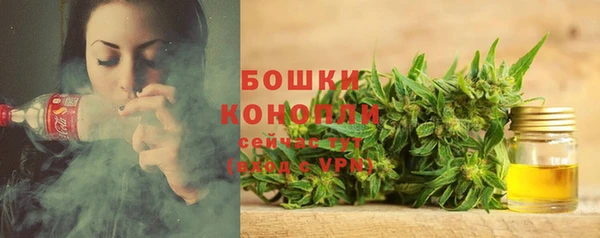 тгк Тайга