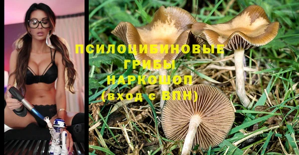 наркотики Сясьстрой
