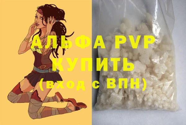 сатива Тавда