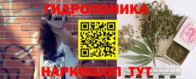 ALPHA PVP Пугачёв