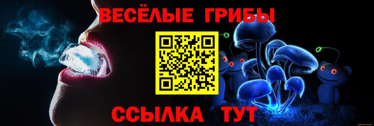 Биробиджан  купить наркотик  Вход с VPN  Псилоцибиновые грибы прущие грибы  Галлюциногенные грибы Magic Shrooms 
